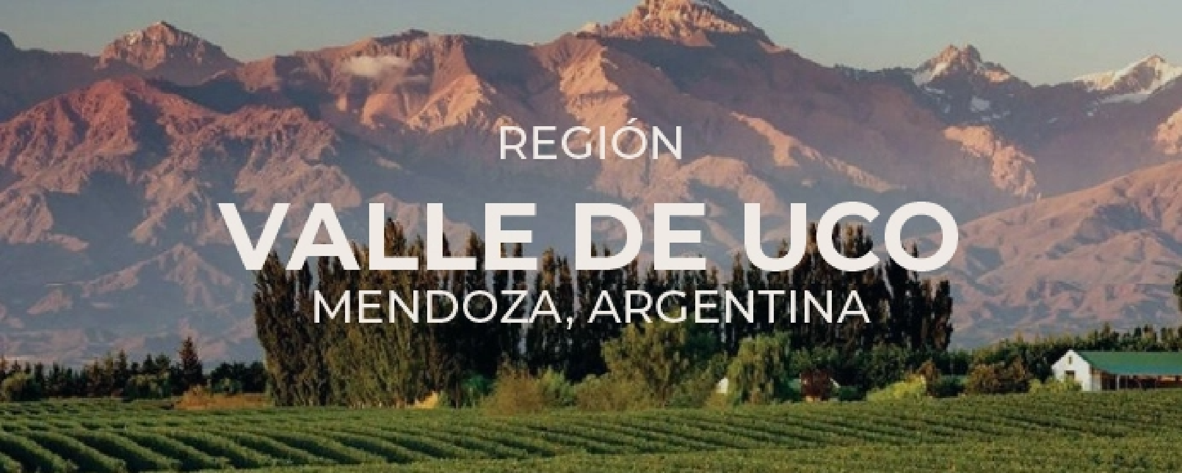 Región Luján de Cuyo